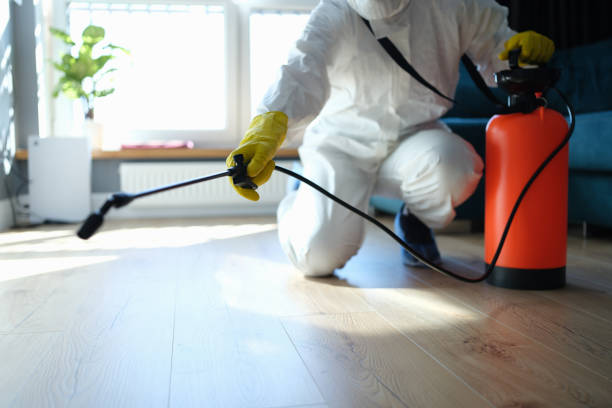 Reliable Hoarding Cleanup contractor in Randsburg, CA by Trauma Clean Pros